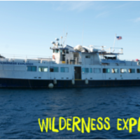 Wilderness-Explorer